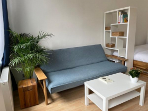 Charming Sunny Flat in Central Vienna